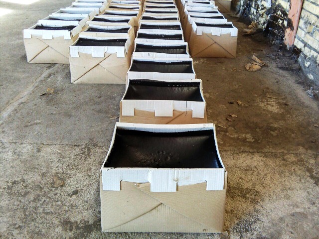 20200512172335U3S9 20200512172335U3S9